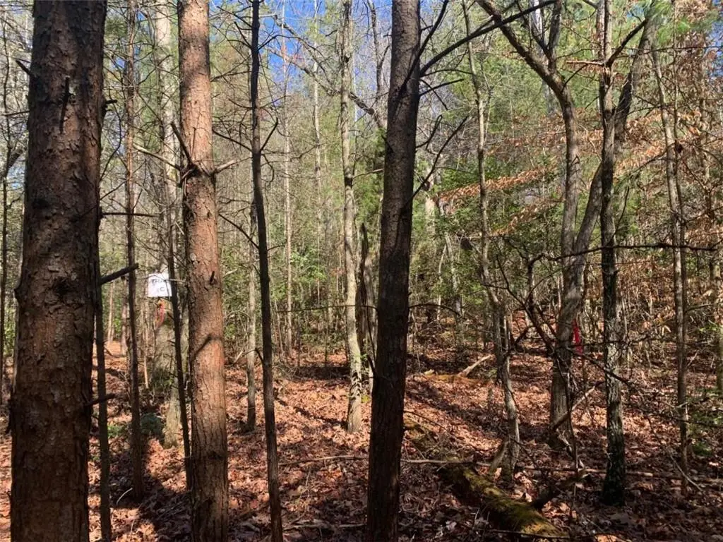 0 East New Hope Road, Ellijay, GA 30536 - #1