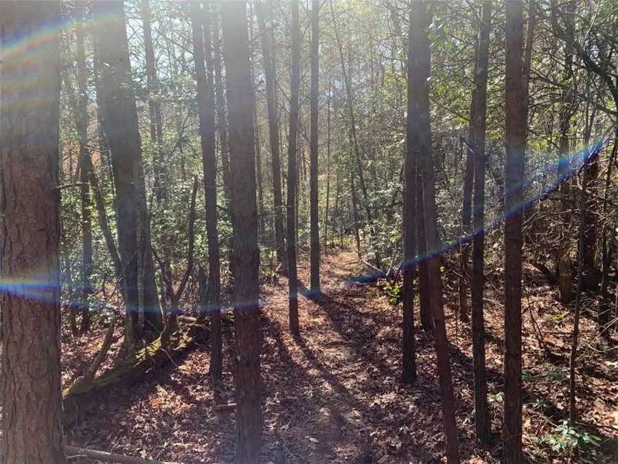0 East New Hope Road, Ellijay, GA 30536 - #2