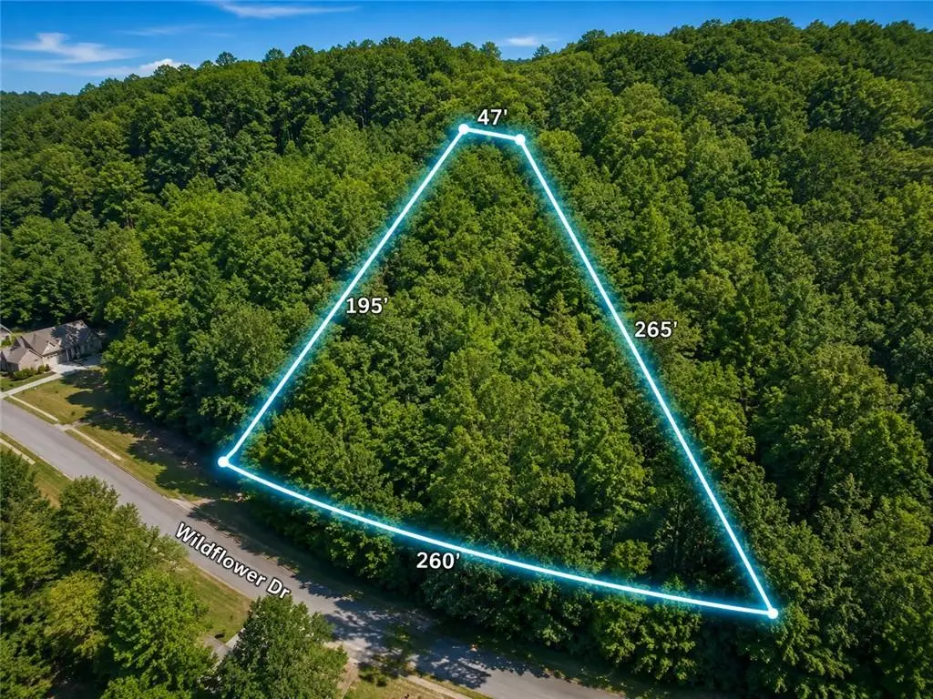 4234 Belvedere Drive, Gainesville, GA 30506 - #1