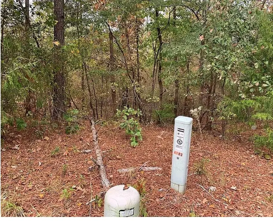 4103 Sierra Court Sw, Stockbridge, GA 30281 - #2