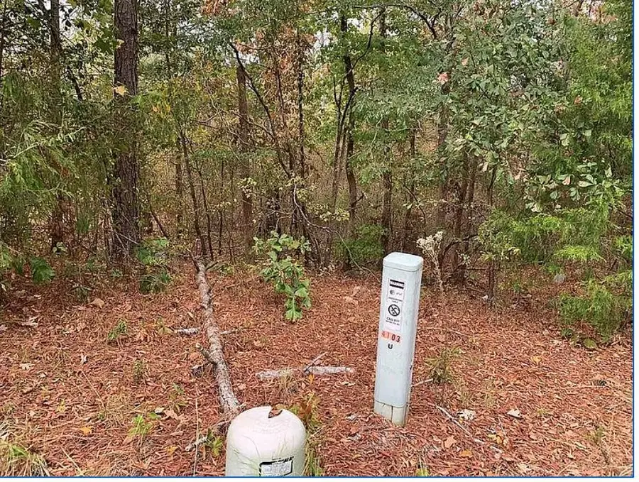 4103 Sierra Court Sw, Stockbridge, GA 30281 - #3