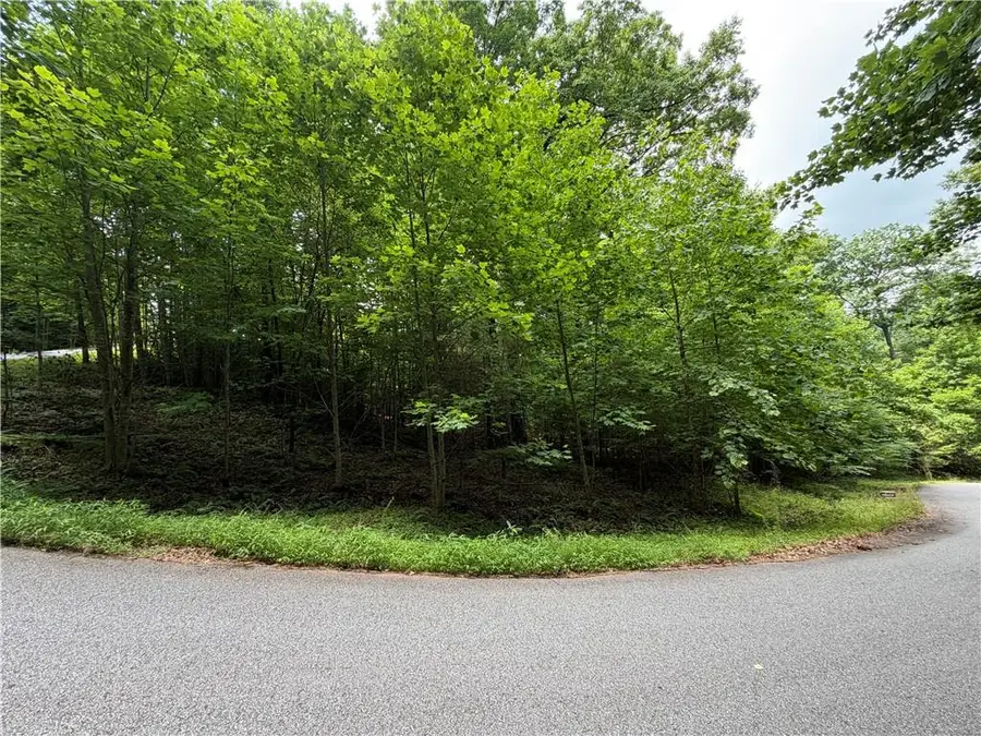 Lot 19 Mill Ridge Rd, Hiawassee, GA 30546 - #3