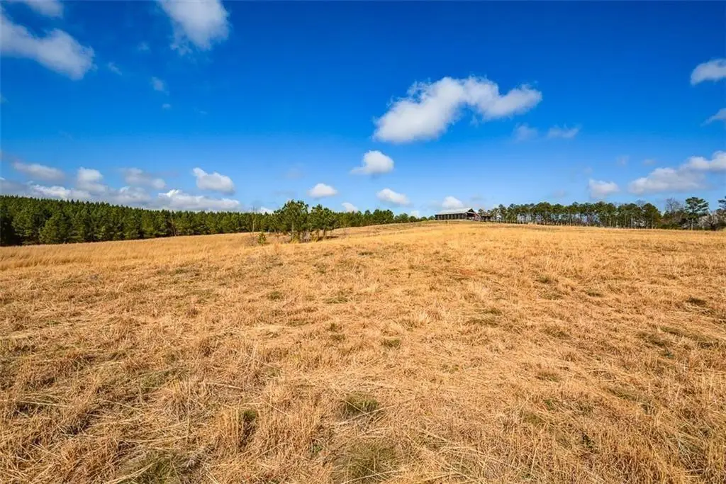119 Inland 15 Acres Drive, Talking Rock, GA 30175 - #1