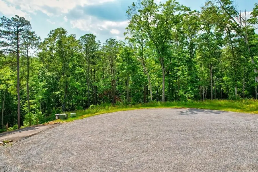 LOT 16 Lake Top Lane, Ellijay, GA 30540 - #2