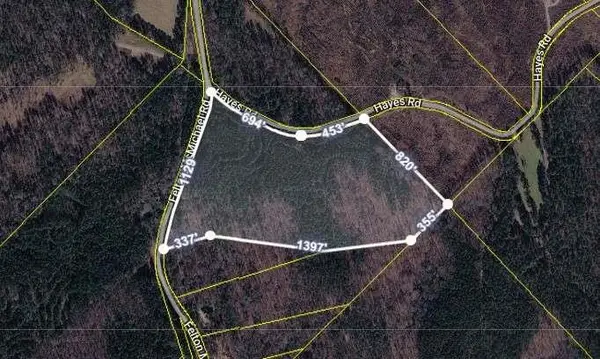 0 Felton Mcmichael Rd - Landlot 090-091 Road, Monticello, GA 31064