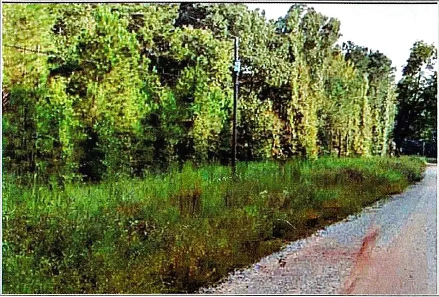 0 Felton Mcmichael Rd - Landlot 090-091 Road, Monticello, GA 31064 - #2