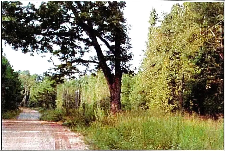 0 Felton Mcmichael Rd - Landlot 090-091 Road, Monticello, GA 31064 - #3