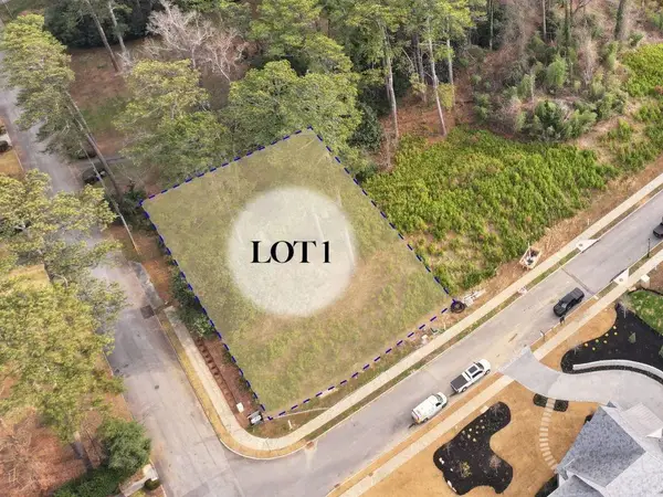 462 Emily Reed Lane, Atlanta, GA 30342