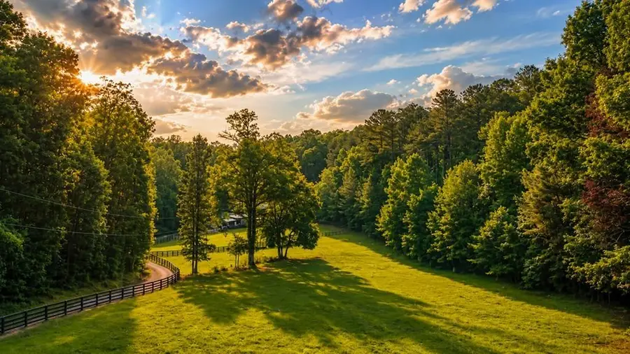 2411 Highway 9 S, Dawsonville, GA 30534 - #2