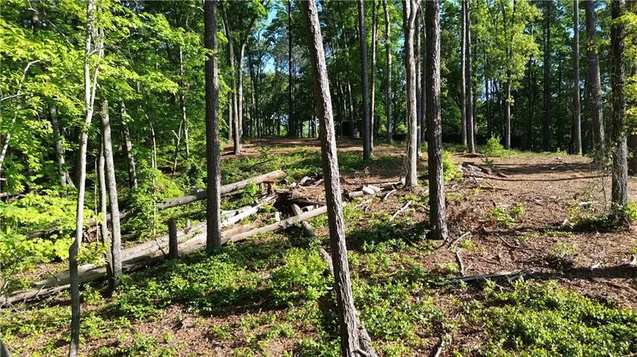 183 Moody Meadows Trail, Canton, GA 30114 - #3