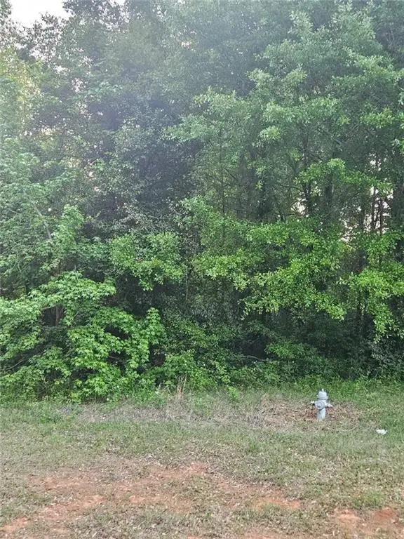 974 W Hemphill Road, Stockbridge, GA 30281 - #3