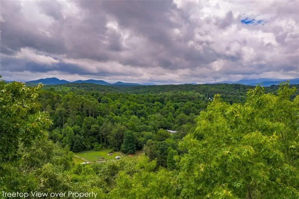 9 Deer Haven Drive, Morganton, GA 30560 - #1