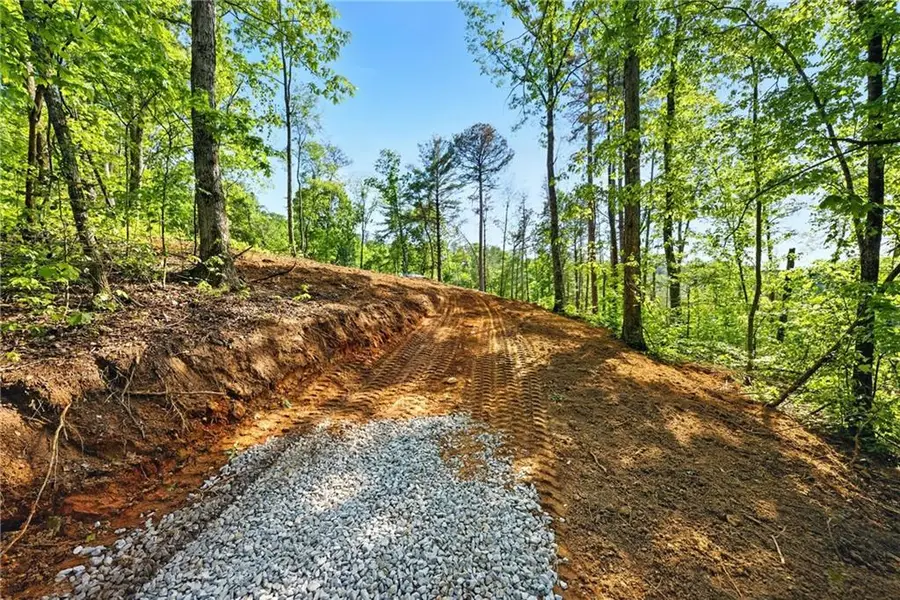 0 Dell Moore, Lot 3 Road, Marble Hill, GA 30148 - #3