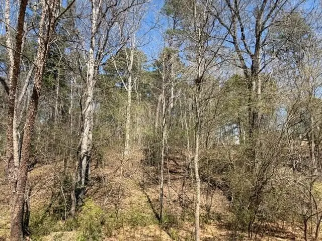 Lot 0 Jack Pittman Road, Dacula, GA 30019 - #2