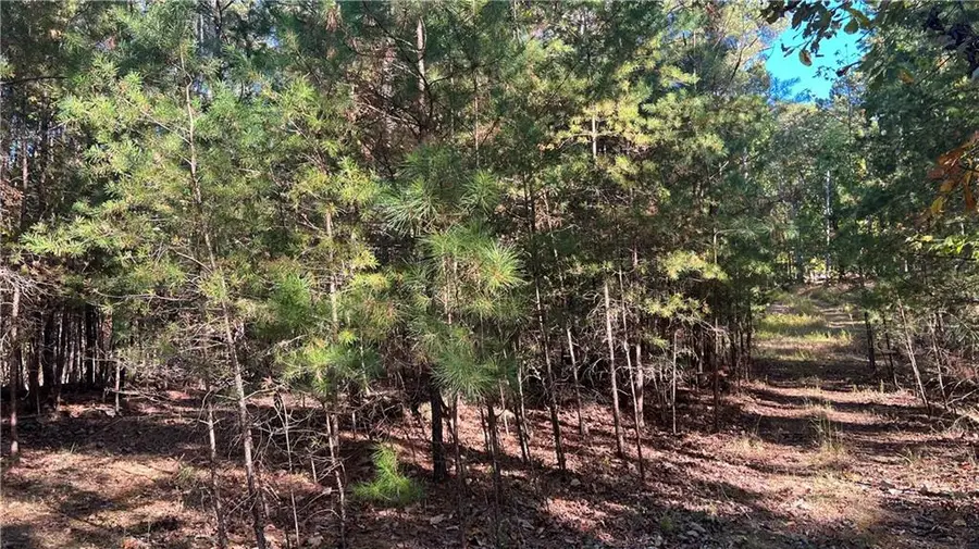 3455 Little Refuge Road, Waleska, GA 30183 - #3