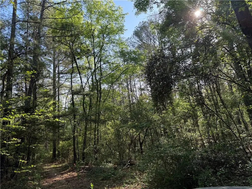 0 Clear Lake Drive, Adairsville, GA 30103 - #1