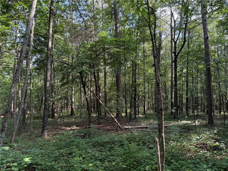 0 Clear Lake Drive, Adairsville, GA 30103 - #2