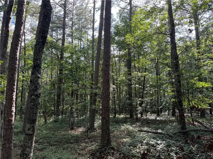 0 Clear Lake Drive, Adairsville, GA 30103 - #3