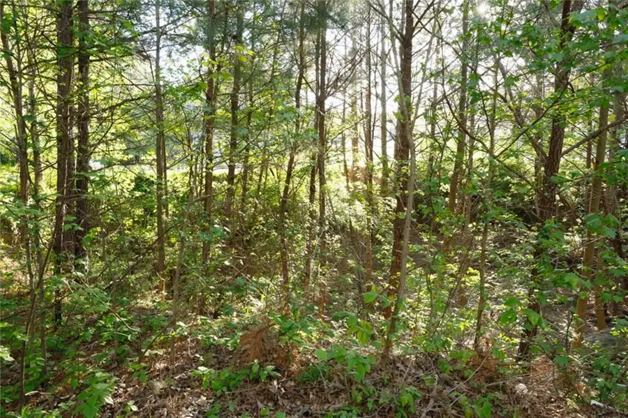 0 Heritage Club, Dallas, GA 30132 - #3