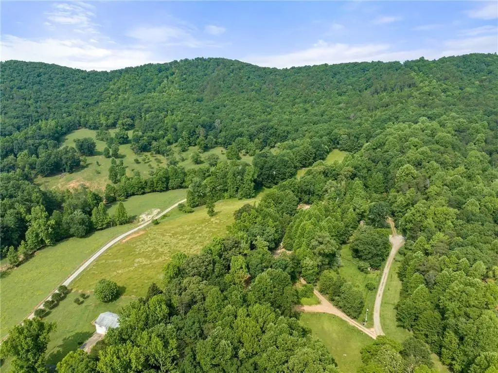 00 Freeman View Trail, Cleveland, GA 30528 - #1