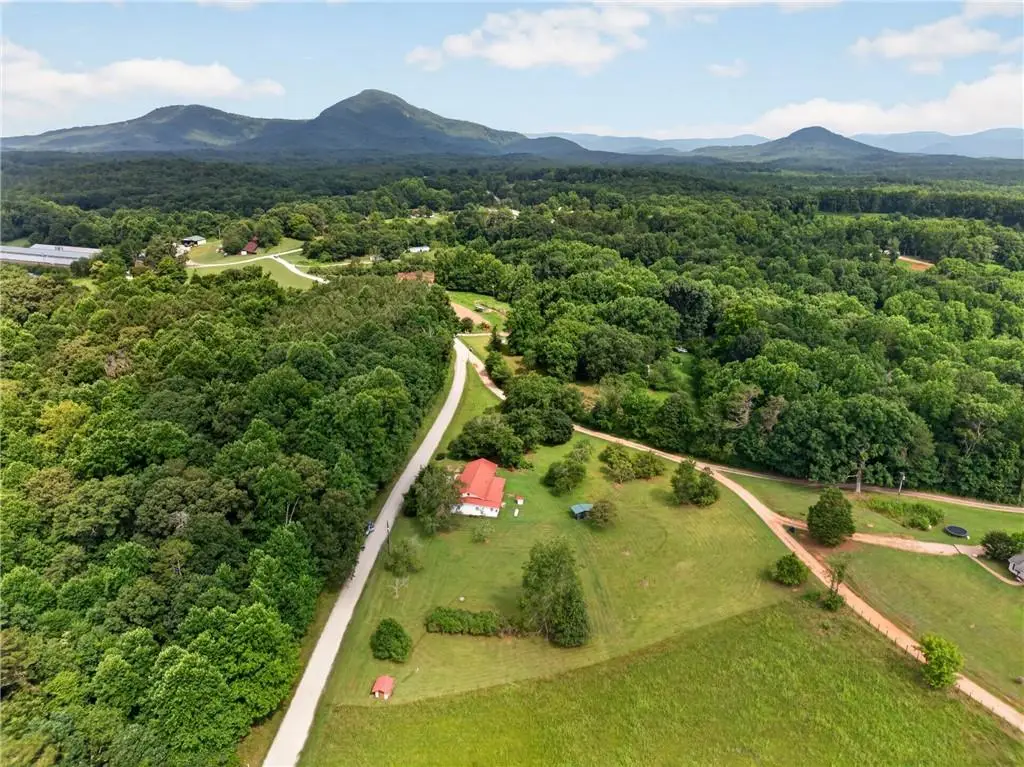 247 Amys Ford Trail, Cleveland, GA 30528 - #1