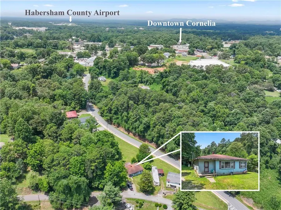 285 Carter Street, Cornelia, GA 30531 - #2