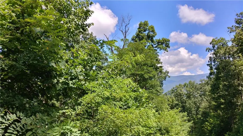 0 Goldmine Drive, Ellijay, GA 30536 - #1