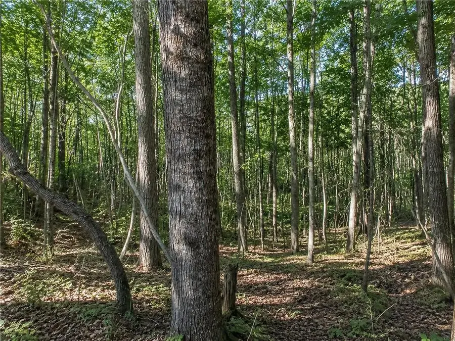 Lot 26 Waldrip Road, Dawsonville, GA 30534 - #2