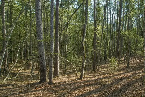 Lot 24 Waldrip Road, Dawsonville, GA 30534
