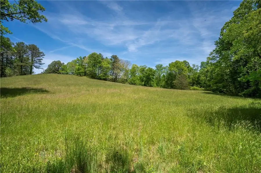LT1-1A Jonica Gap Road, Mineral Bluff, GA 30559 - #3