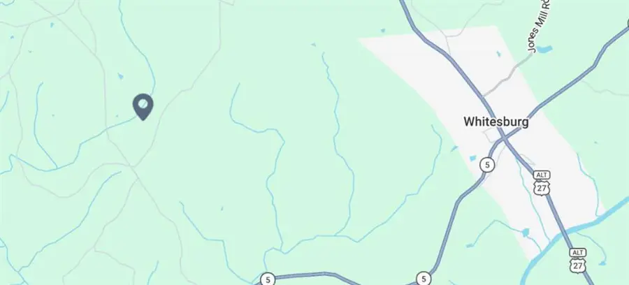 0 S Little New York Trail, Whitesburg, GA 30185 - #3