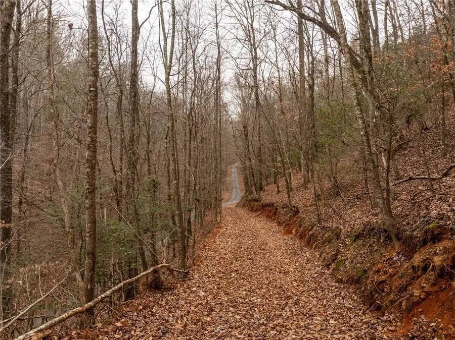 377 Soldiers Path, Dahlonega, GA 30533 - #3