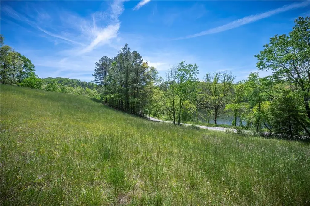 LT2-2a Waterstone Way, Mineral Bluff, GA 30559 - #1