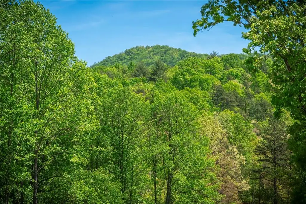 LT4-4a Waterstone Way, Mineral Bluff, GA 30559 - #1