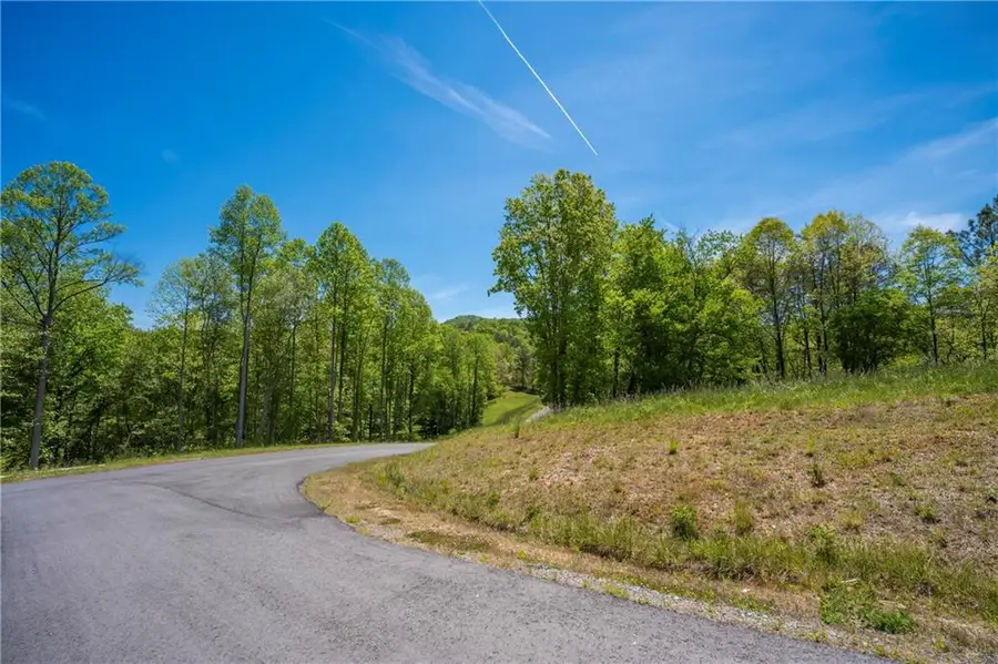 LT4-4a Waterstone Way, Mineral Bluff, GA 30559 - #3