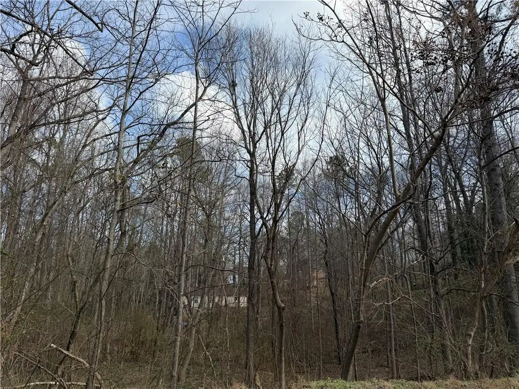 66 Red Top Circle, Emerson, GA 30137 - #1