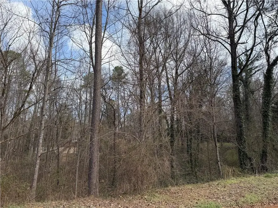 66 Red Top Circle, Emerson, GA 30137 - #2