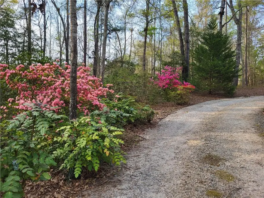 1555 Maple Ridge Drive, Loganville, GA 30052 - #2