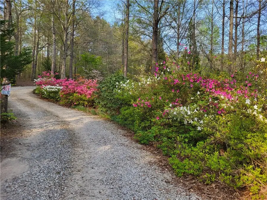 1555 Maple Ridge Drive, Loganville, GA 30052 - #3