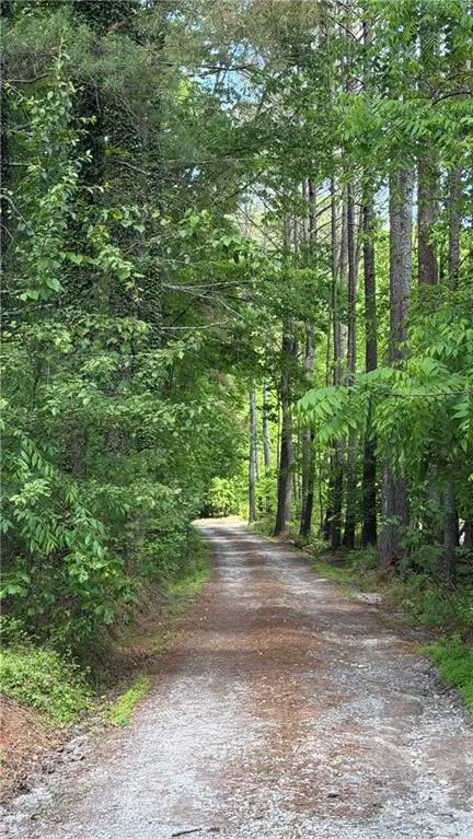 340 Wash Wilson Loop, Blue Ridge, GA 30513 - #1