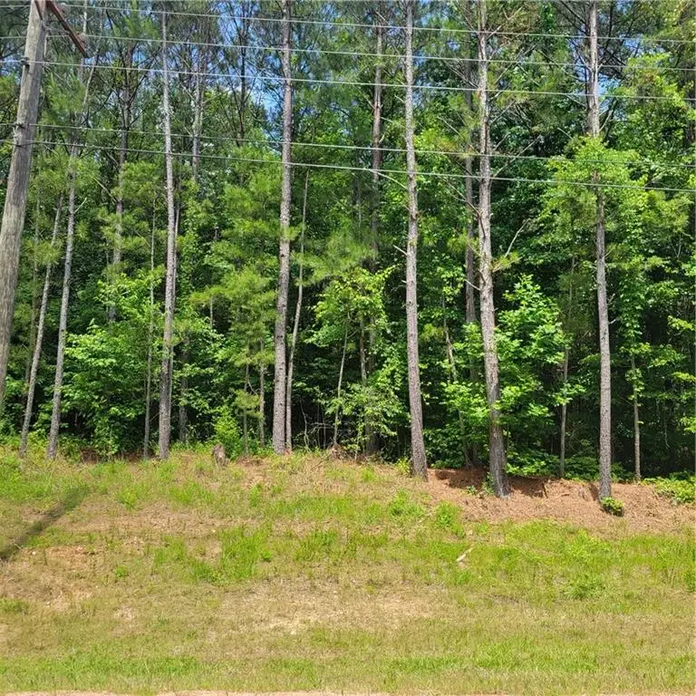 00 Bohannon Road, Grantville, GA 30220 - #1