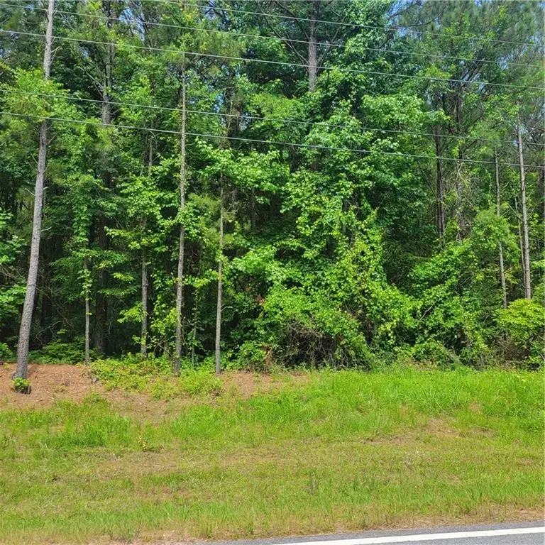 00 Bohannon Road, Grantville, GA 30220 - #3
