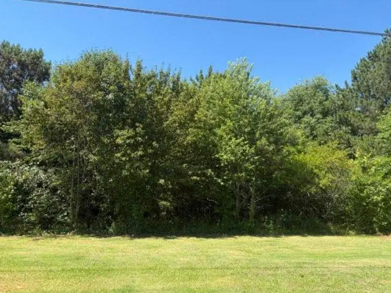 7059 Hwy 81 - Tract 2, Monroe, GA 30656 - #3