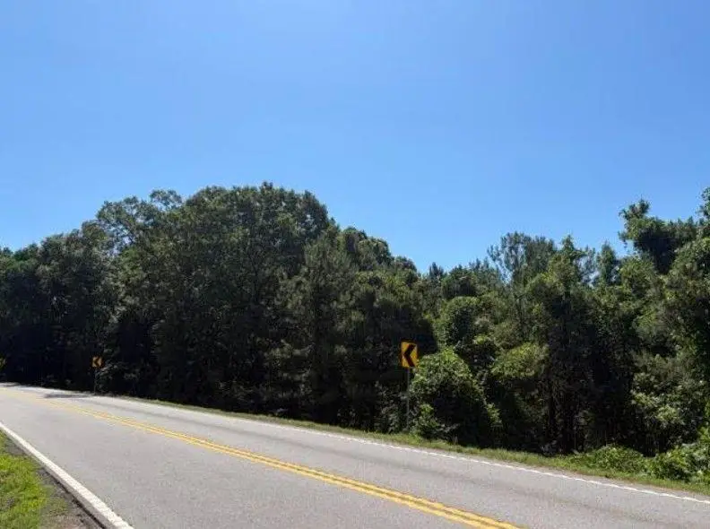 7057 Hwy 81 - Tract 8, Monroe, GA 30656 - #3