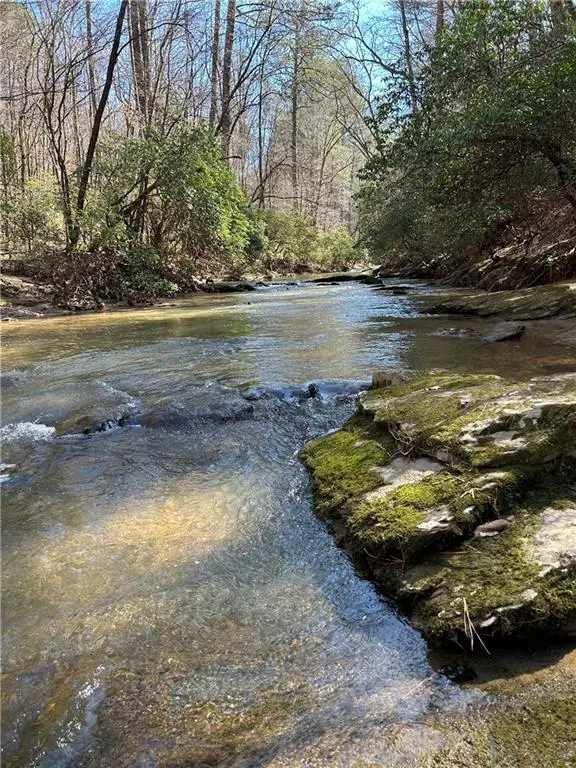 0 Coffee Mill Run, Talking Rock, GA 30175 - #3