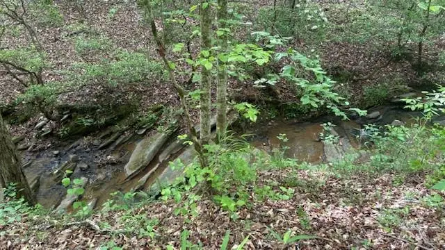 01 Hwy 136 West, Talking Rock, GA 30175 - #3