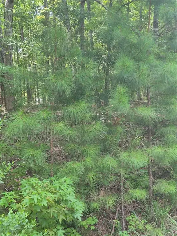 441 S Steel Bridge Road, Eatonton, GA 31024 - #2