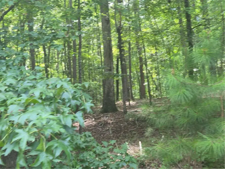 441 S Steel Bridge Road, Eatonton, GA 31024 - #3