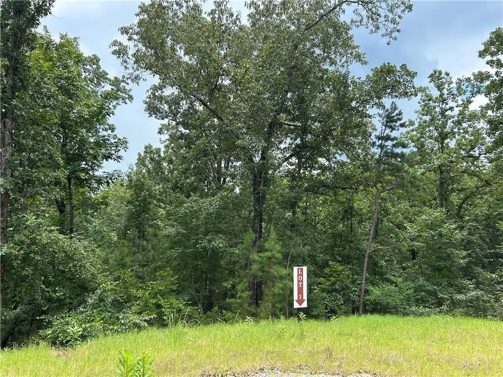 0 Hamilton Road, Chattahoochee Hills, GA 30268 - #1