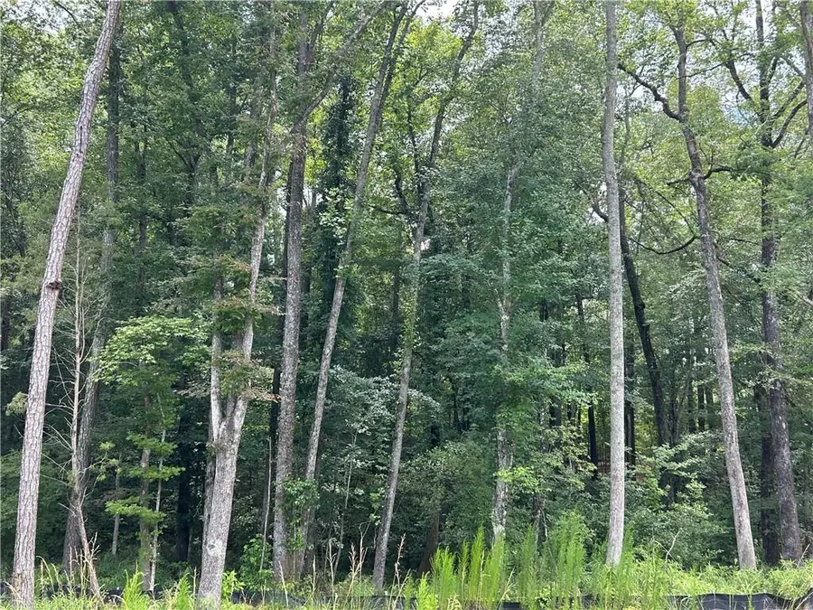 0 Hamilton Road, Chattahoochee Hills, GA 30268 - #2